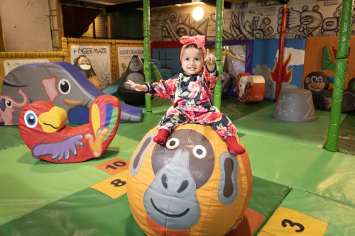 Kids climbing across rope bridge at Indiana Land